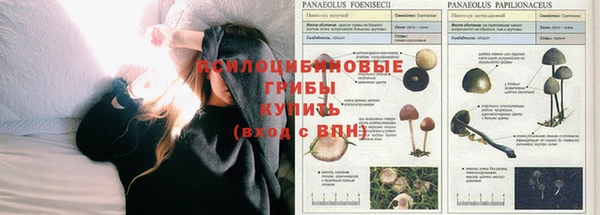 каннабис Арсеньев