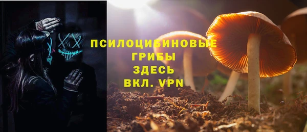 дмт Аркадак