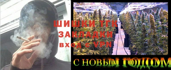 PSILOCYBIN Лагань