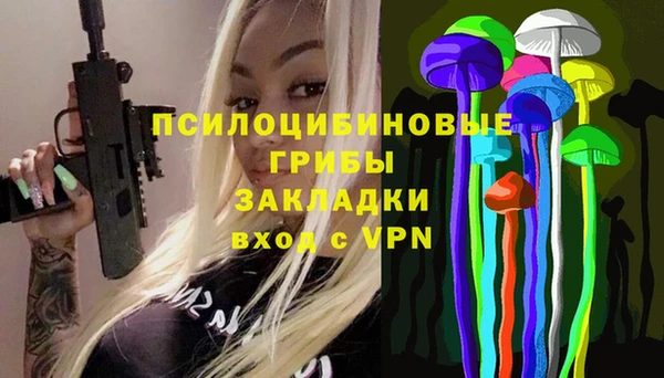дмт Аркадак