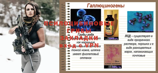 каннабис Арсеньев