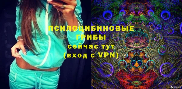 дмт Аркадак