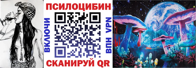 купить  сайты  Выкса  Галлюциногенные грибы Cubensis 