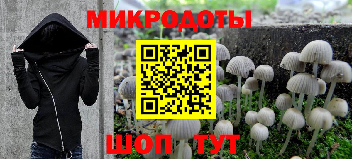 что такое наркотик  Вход с VPN  Выкса  Галлюциногенные грибы Psilocybine cubensis 