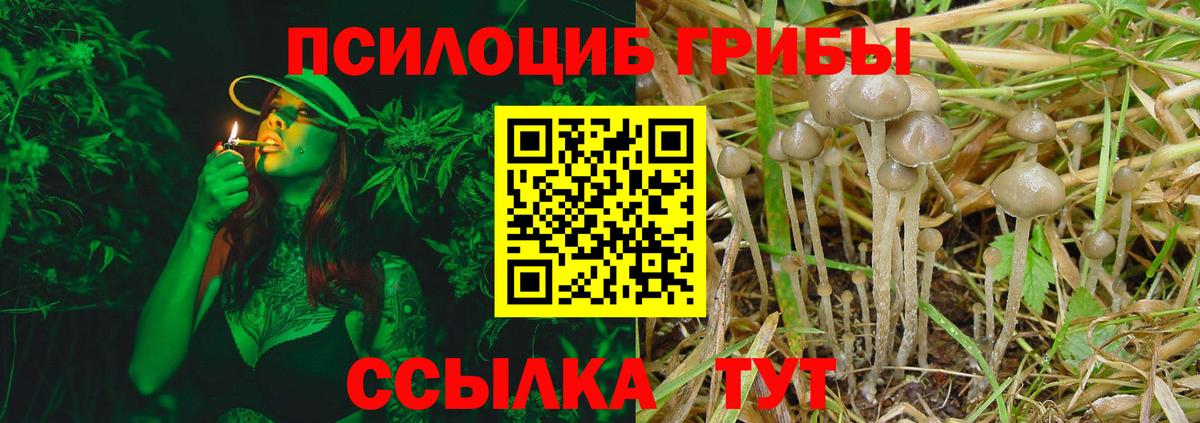 Псилоцибиновые грибы ЛСД Выкса