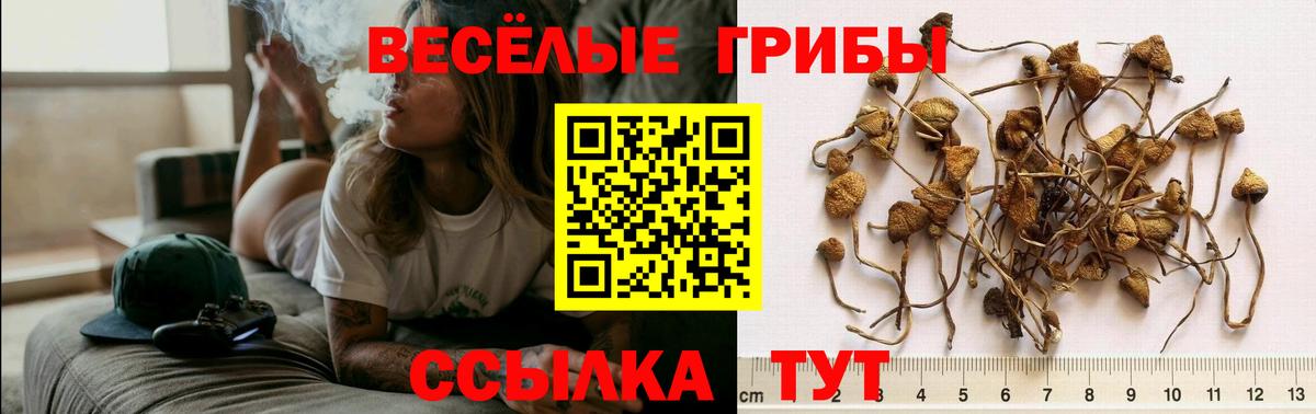 МЕФ   Выкса  ЭКСТАЗИ  ГАШ  Вход с VPN  COCAIN  Марихуана 